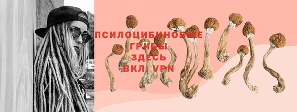 мескалин Елабуга