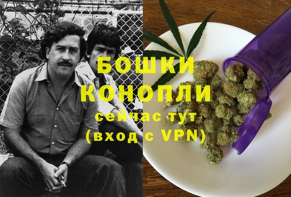 ALPHA PVP Елизово