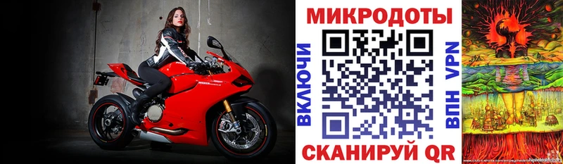Галлюциногенные грибы Psilocybe  Купить  Катайск 